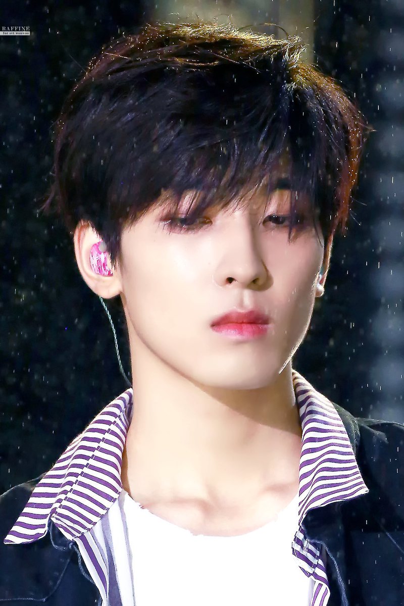 人生ウォヌ tweet media