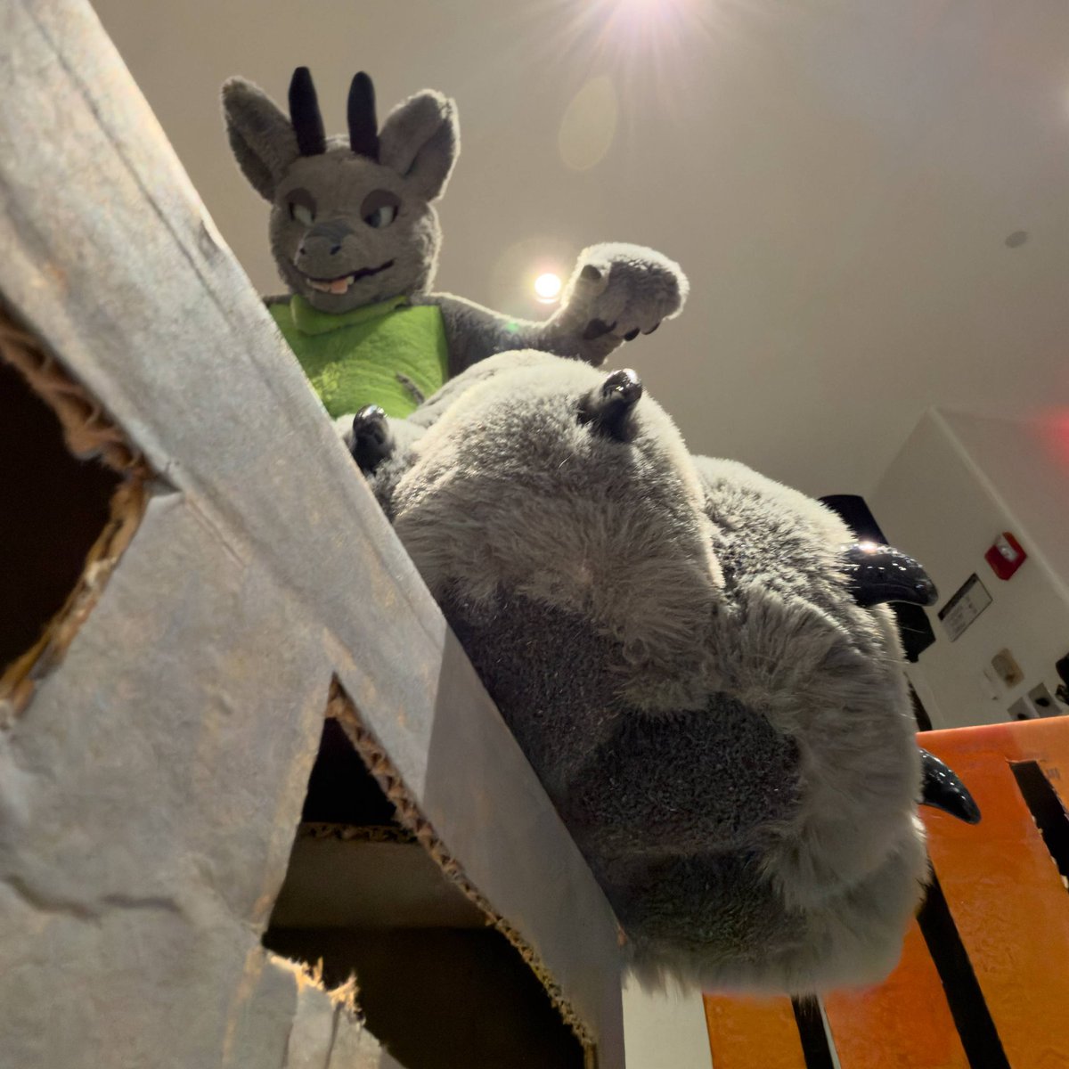 Iggy! 🔜 AnthroCon tweet media