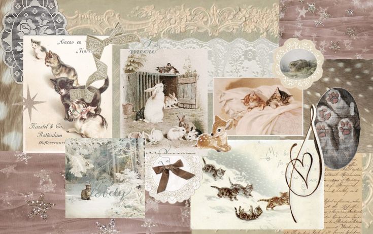 𝒻𝓁ℴ. tweet media