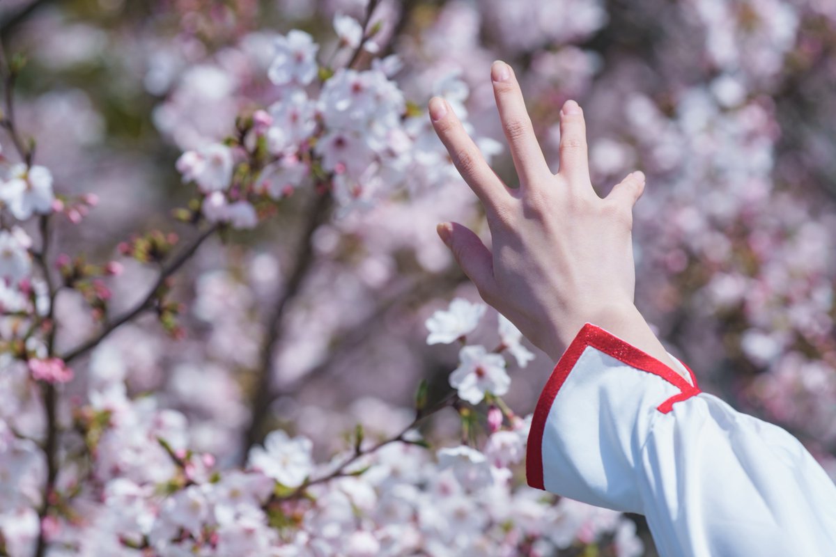 にゃんごろう😸 tweet media