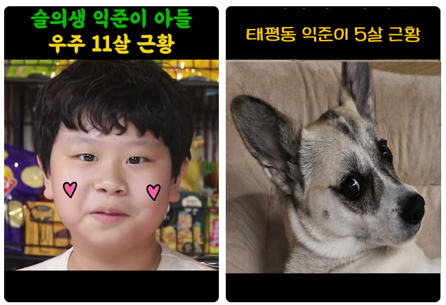 익준이와 익준이 아들의 근황