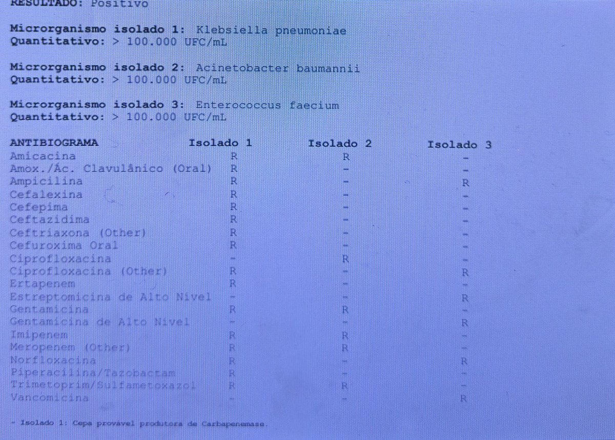 giovana maria tweet media