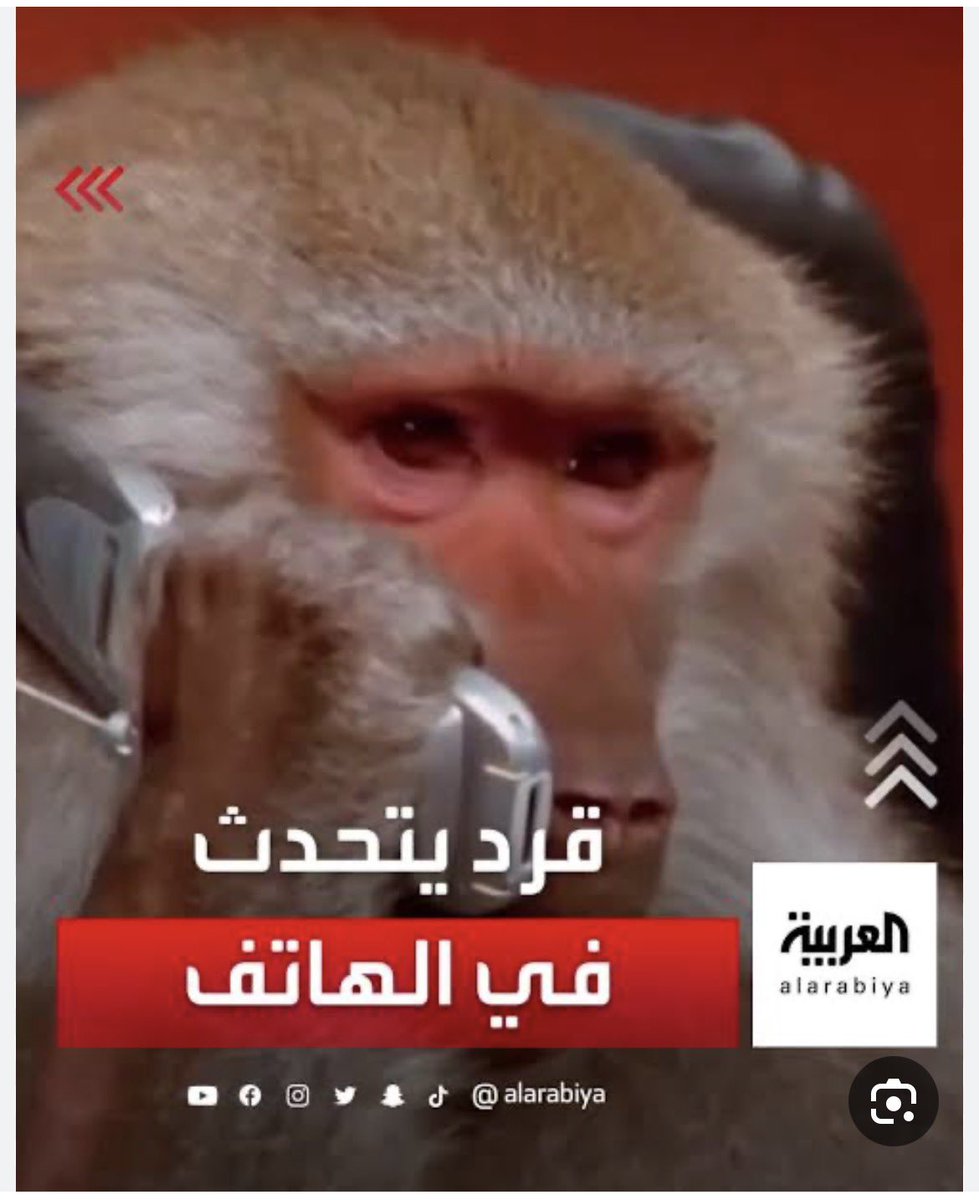 𓅃 ABDULAZIZ tweet media