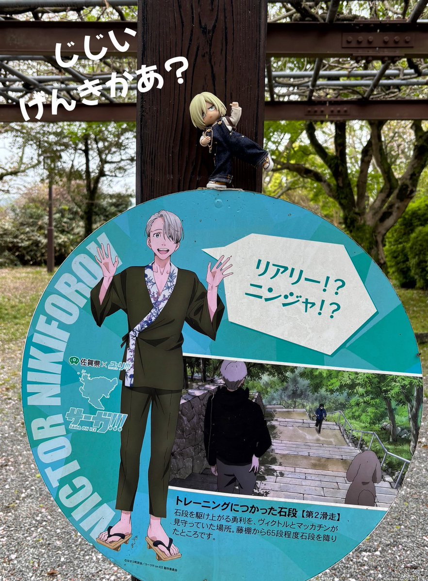 モンステラ tweet media