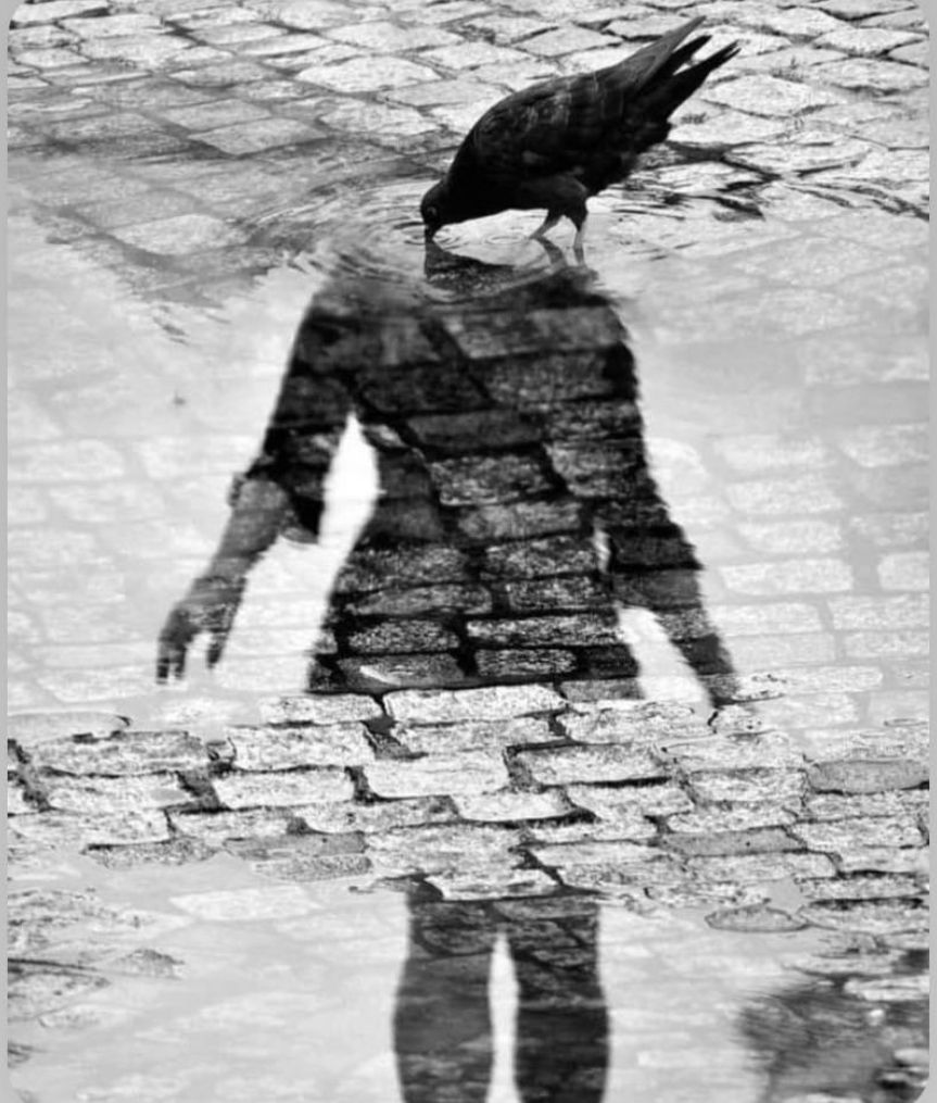 هاشم الجحدلي tweet media