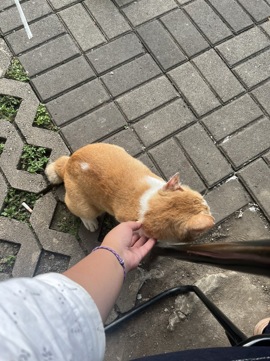 mao⭐️🧃 tweet media