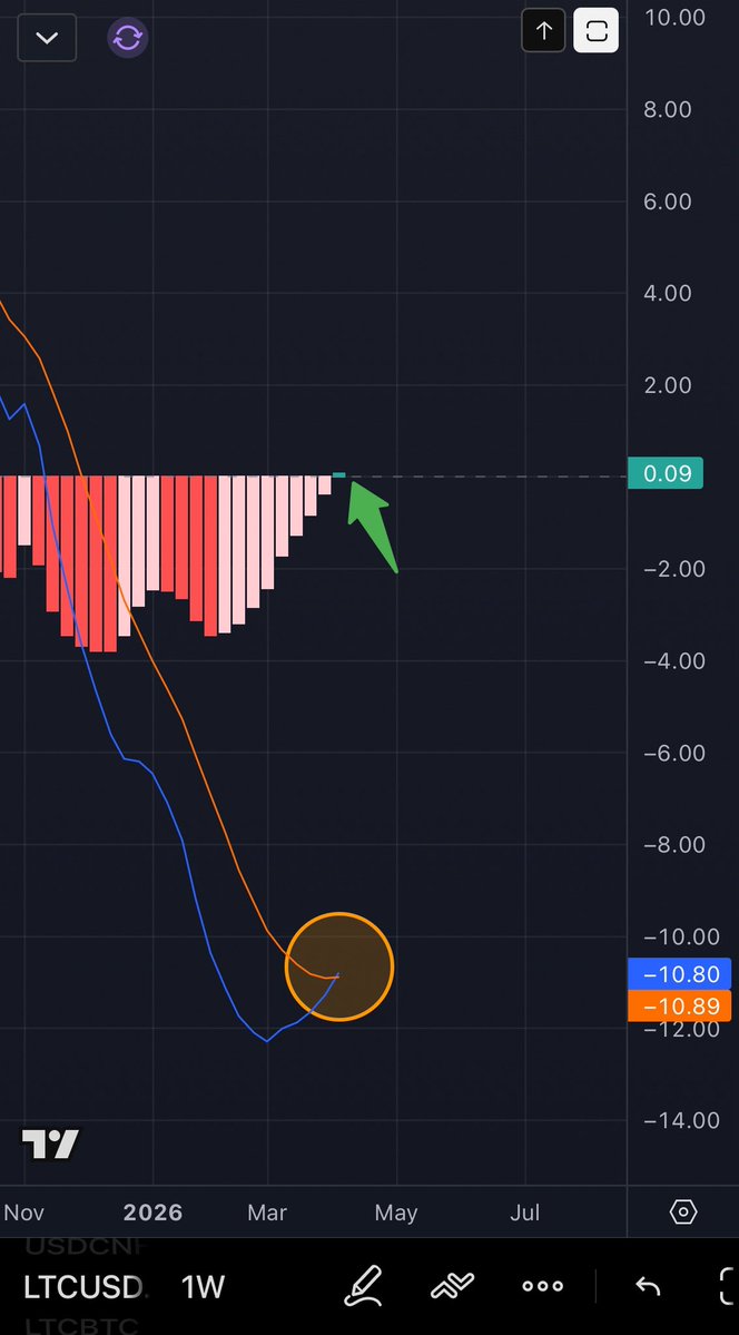 Carlos The Crypto CaterpillarⓂ️🕸 tweet media