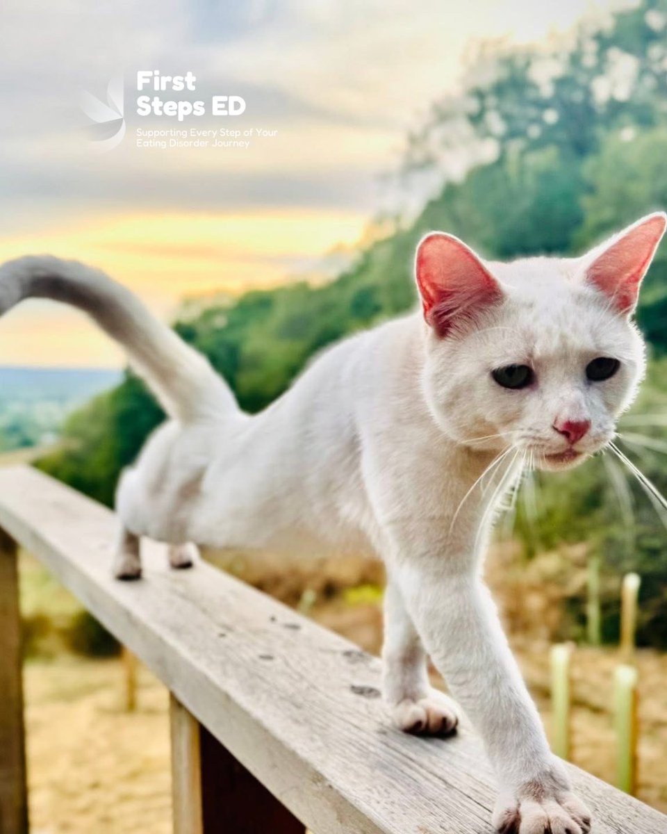 FirstStepsED tweet media