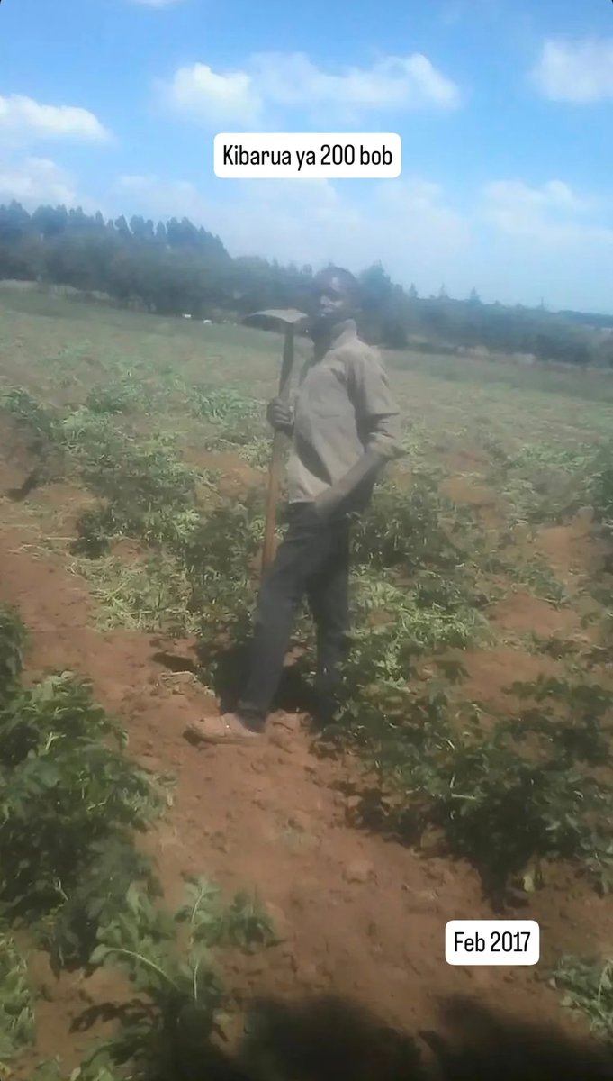 Amos Kemboi, G.E. tweet media