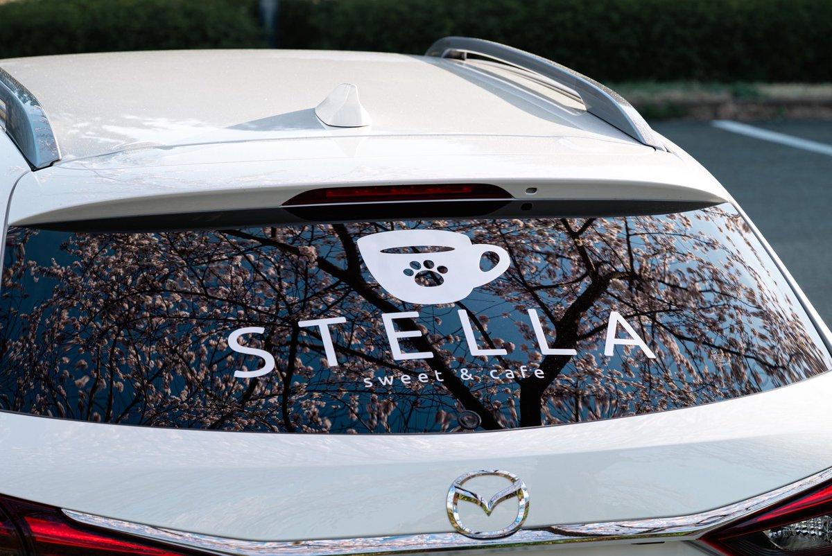 マッキー tweet media