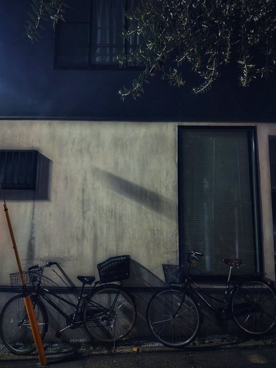 here there and everywhere tweet media