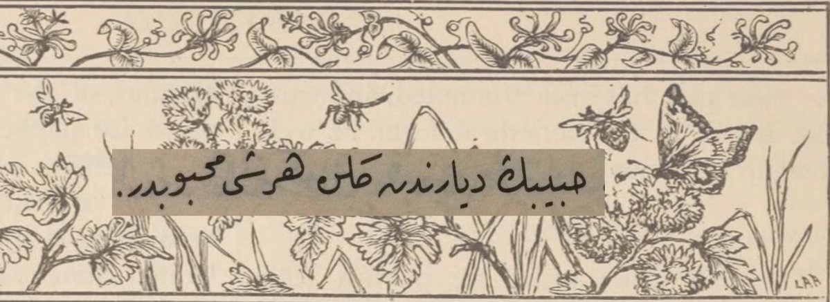 zehra ོ tweet media