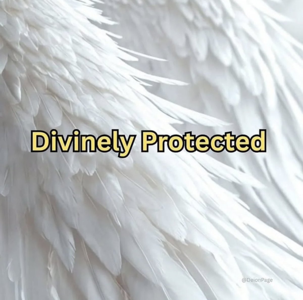 Starseed tweet media