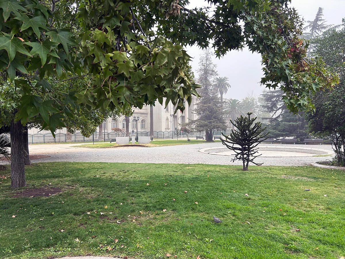 Museo Nacional de Historia Natural tweet media