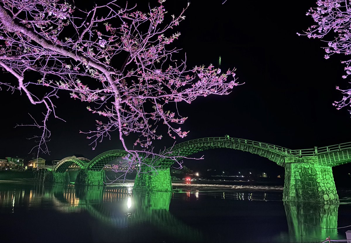 coff_vc's tweet photo. 夜の錦帯橋は幻想的。

#錦帯橋 https://t.co/FJxQTpGFAM