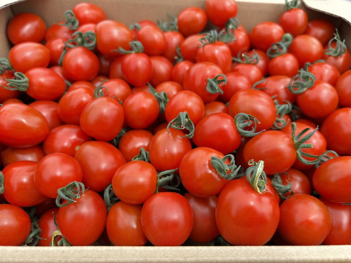 しげき（他称・天才画伯） tweet media