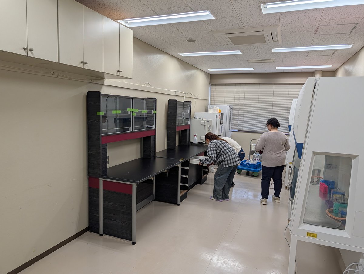 Nakashima Lab (熊本大学 中島研究室) tweet media
