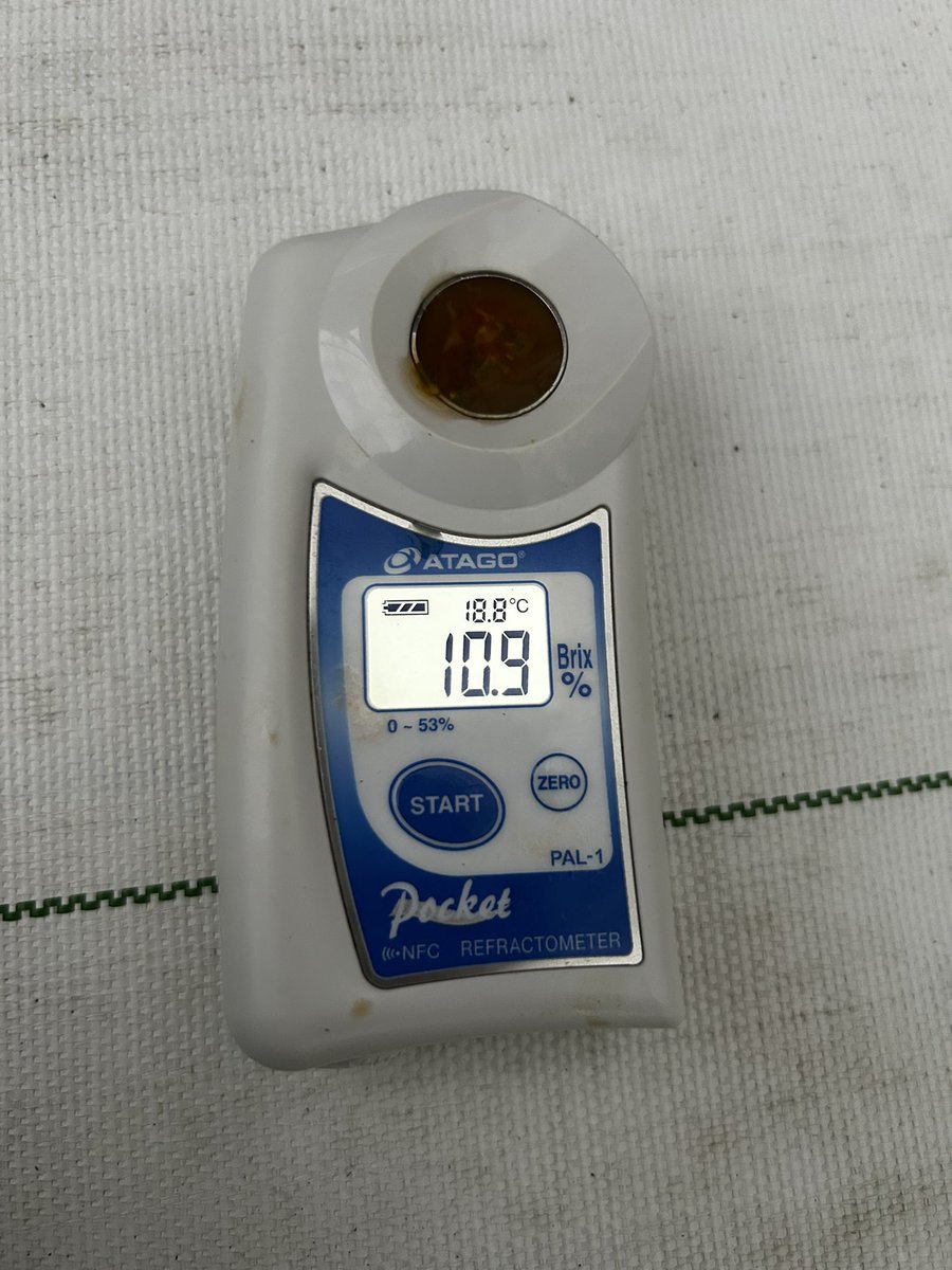 しげき（他称・天才画伯） tweet media