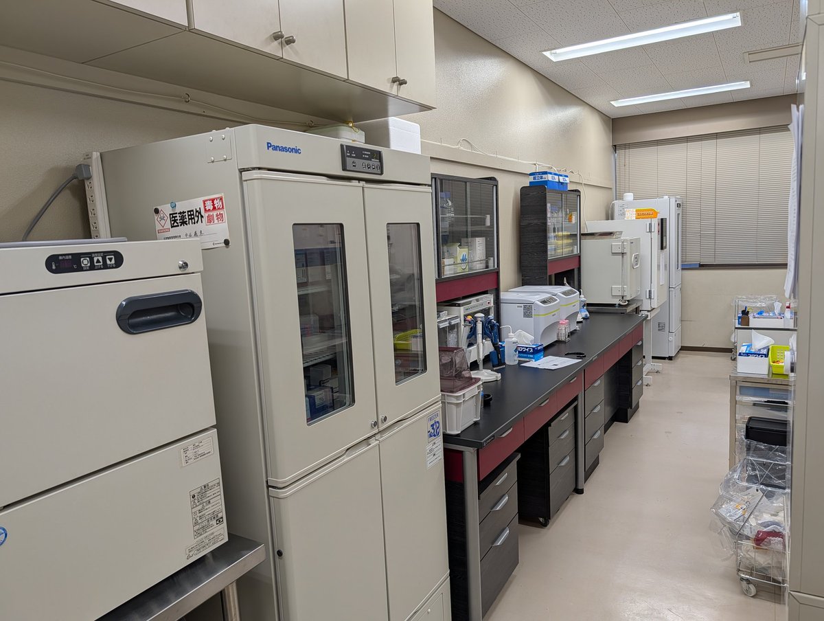 Nakashima Lab (熊本大学 中島研究室) tweet media