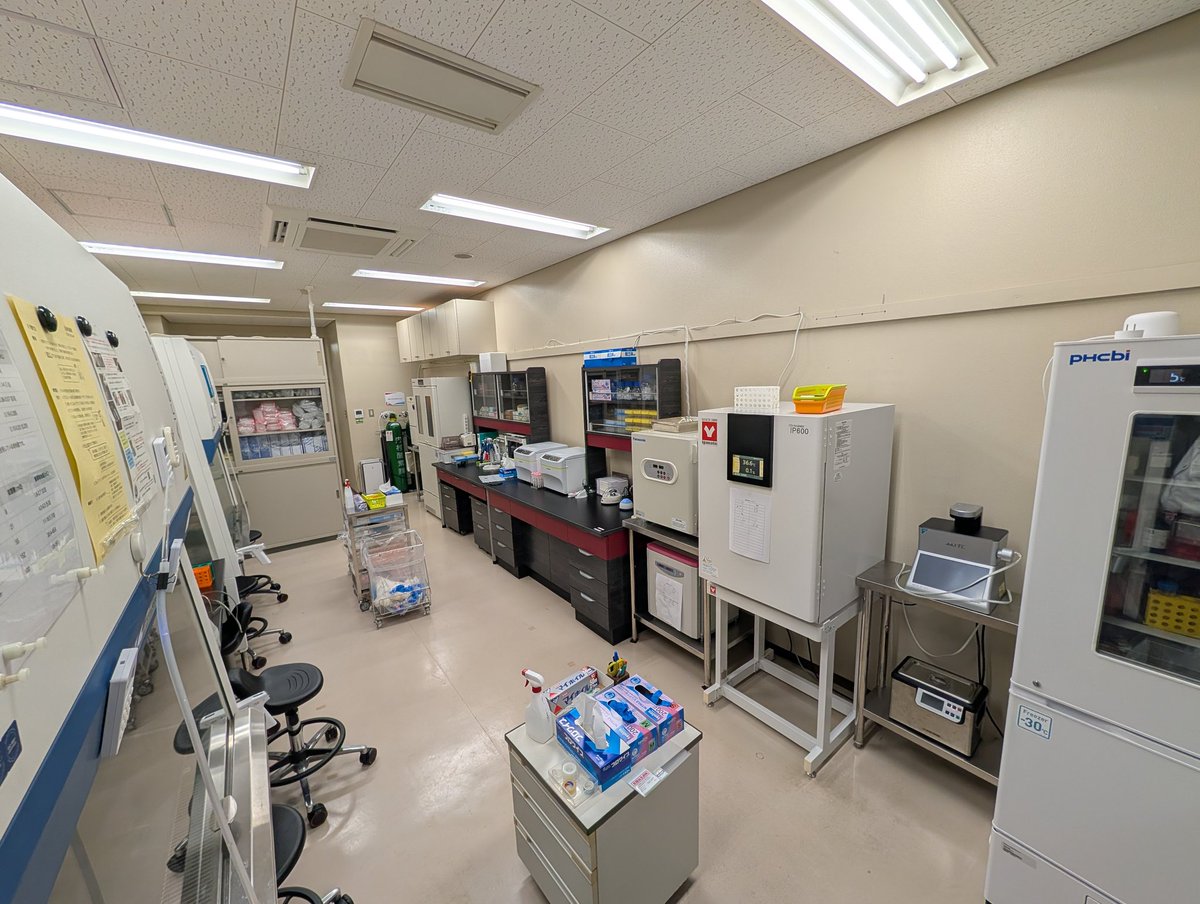 Nakashima Lab (熊本大学 中島研究室) tweet media