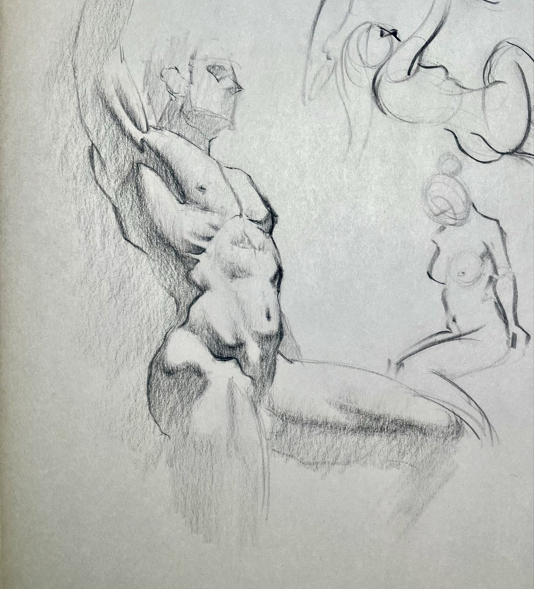 Artofthesol's tweet photo. Quick Anatomy study. https://t.co/nP5FMMSZf8