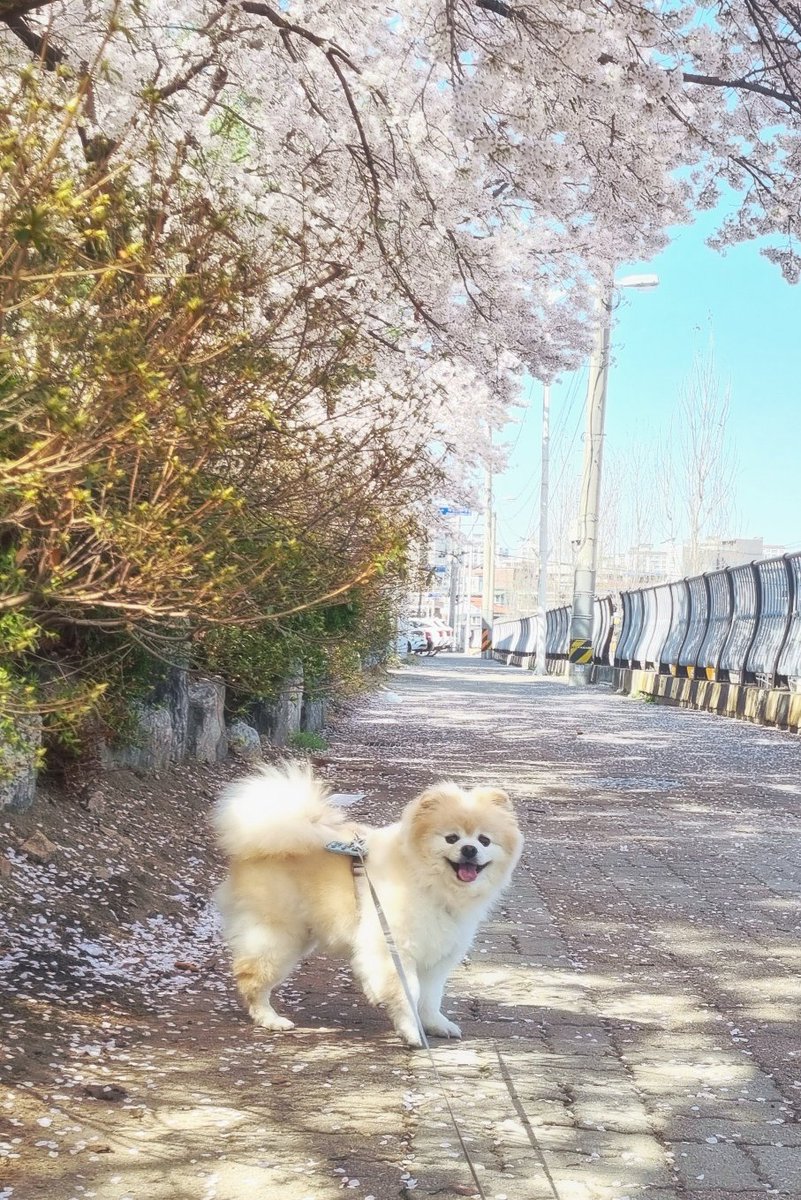 바라bara tweet media