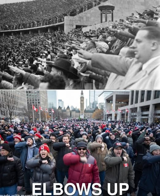 Martyupnorth®- Unacceptable Fact Checker tweet media