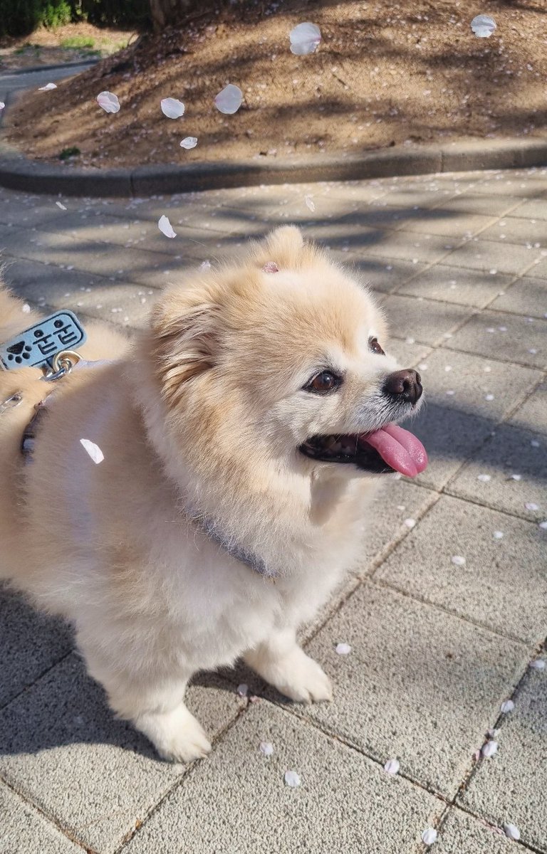 바라bara tweet media