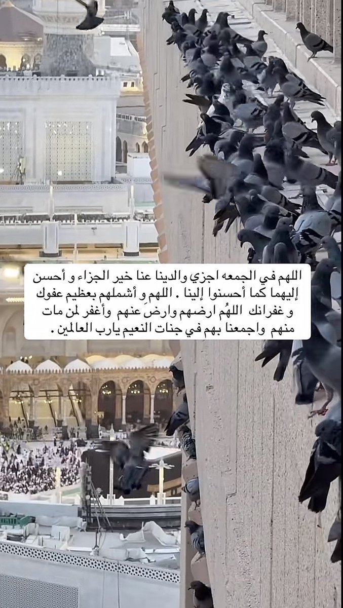 ﮼ريم ﮼الشيبة tweet media