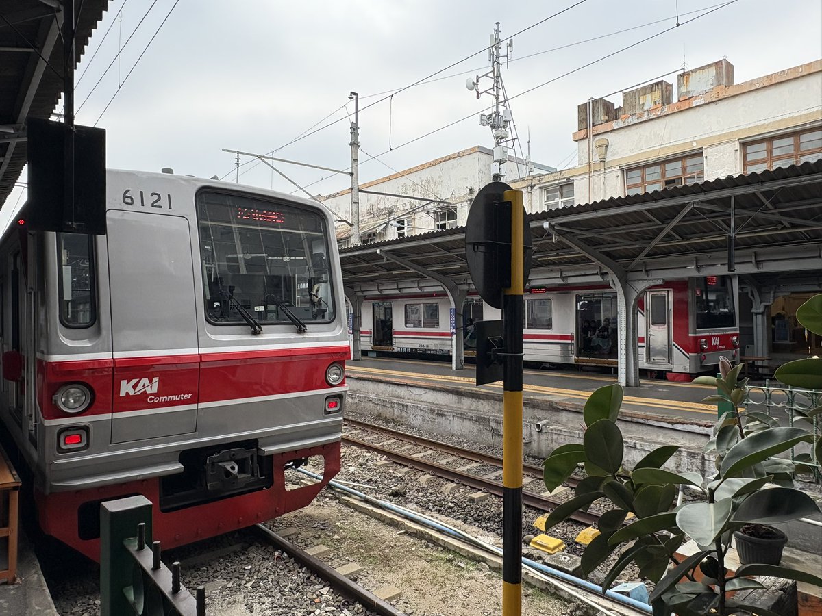 えびのブライト tweet media