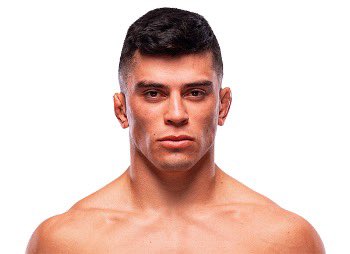 Blind Bear 🐻🕶️ tweet media