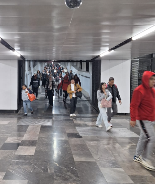 MetroCDMX's tweet image. #MetroAlMomento: 

Se registra buen avance y circulación constante de trenes en las Líneas 2, 3, 5, 8, A y B

Las Líneas 1, 7 y 12  presentan afluencia alta, lo que puede generar mayores tiempos de espera en andenes y durante el abordaje de trenes. Personal del Sistema se