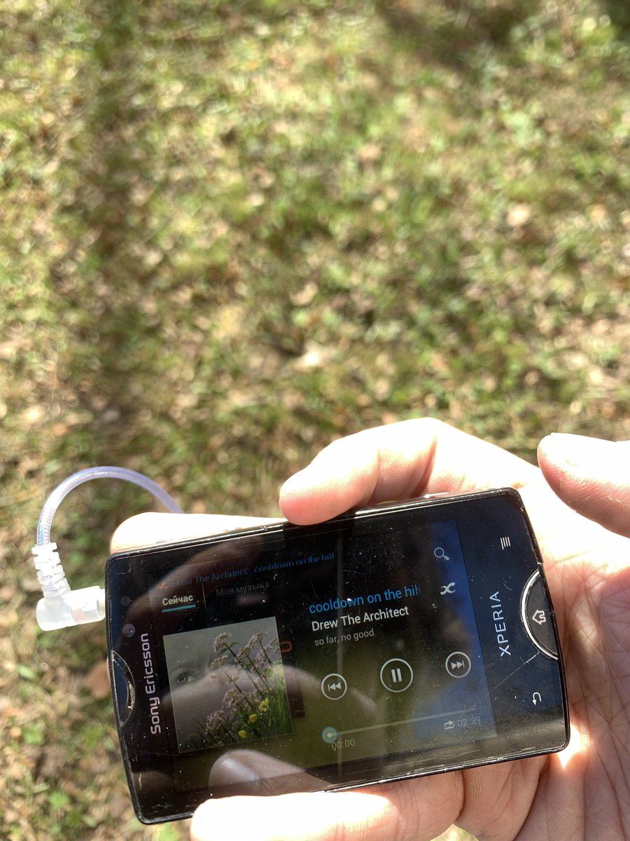 tpavlov53 tweet media