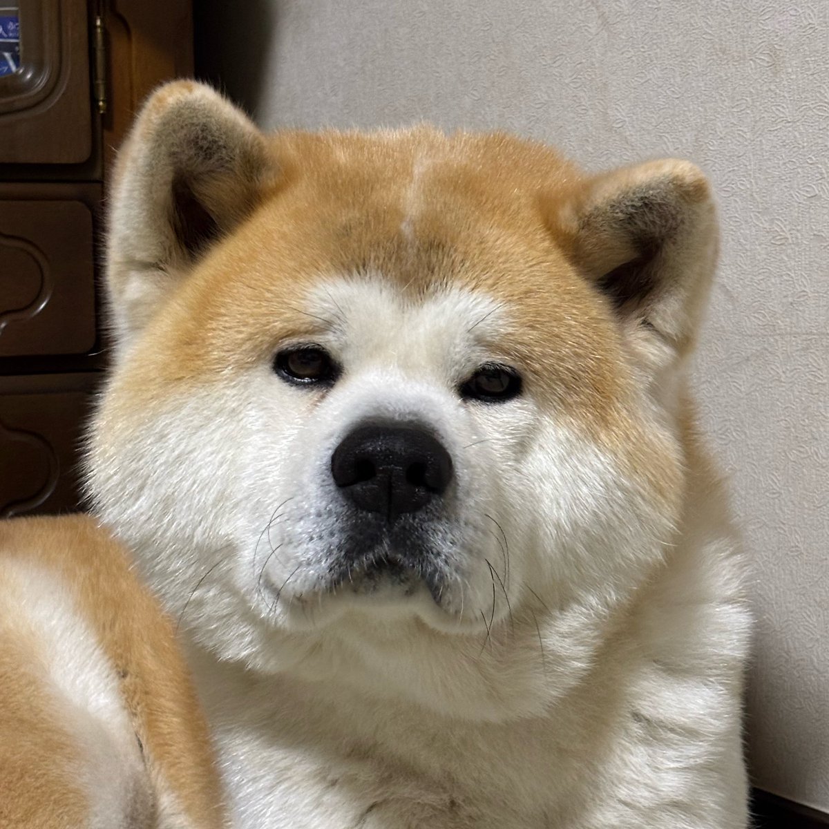 muuuu0531's tweet image. 