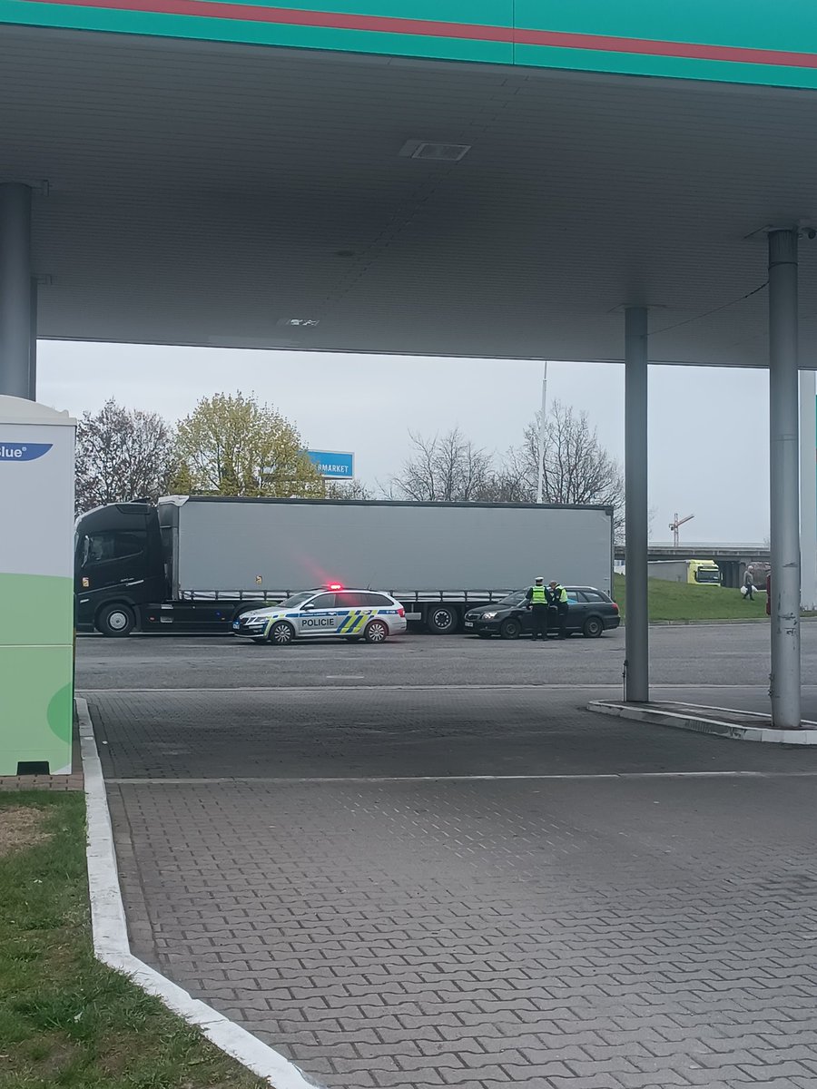 NEMO MEMO tweet media