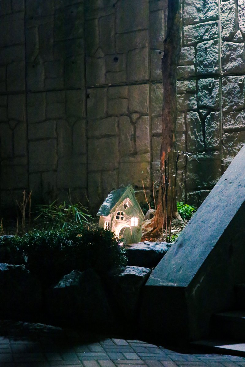 NCT WISH tweet media