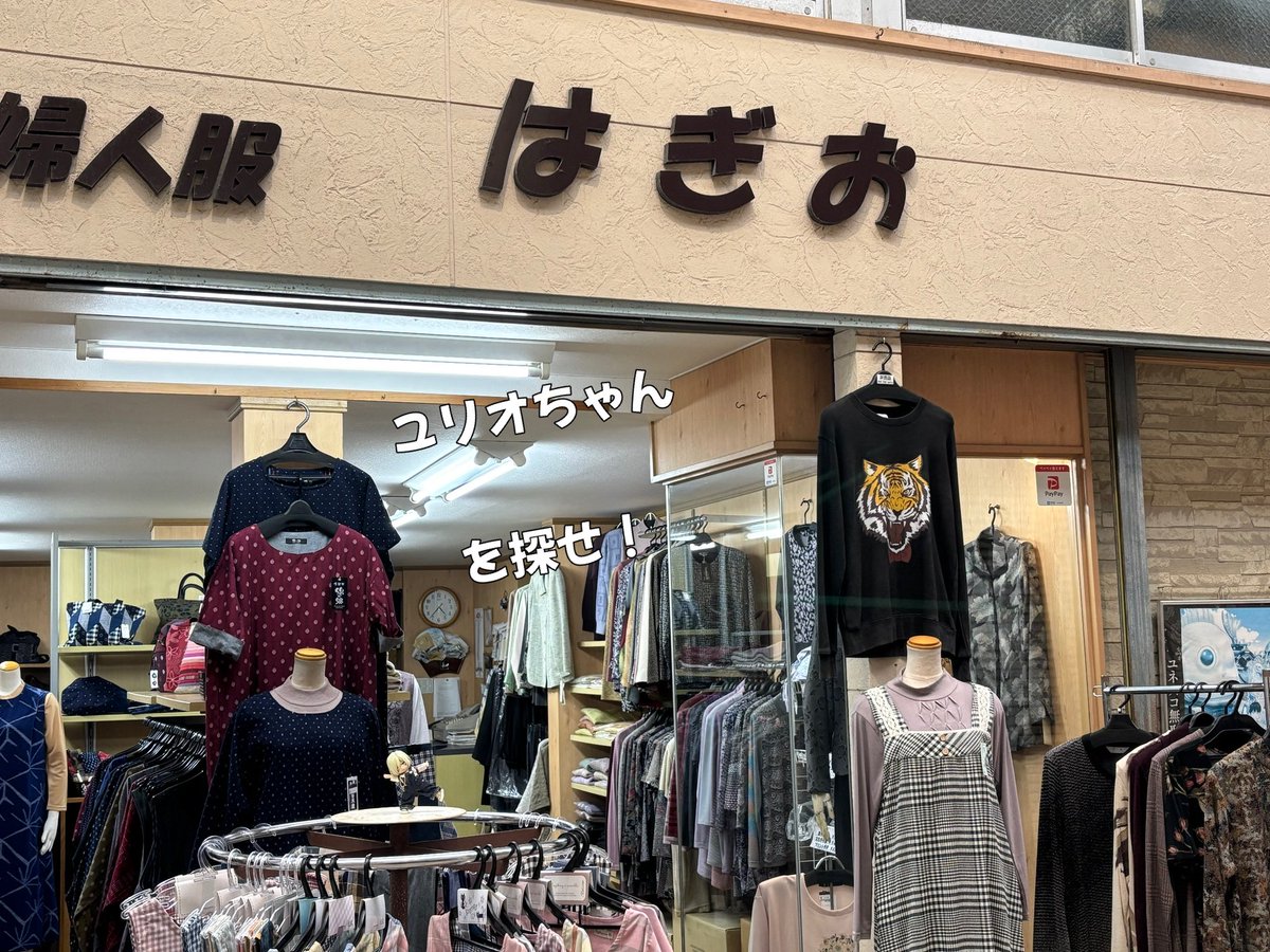 モンステラ tweet media