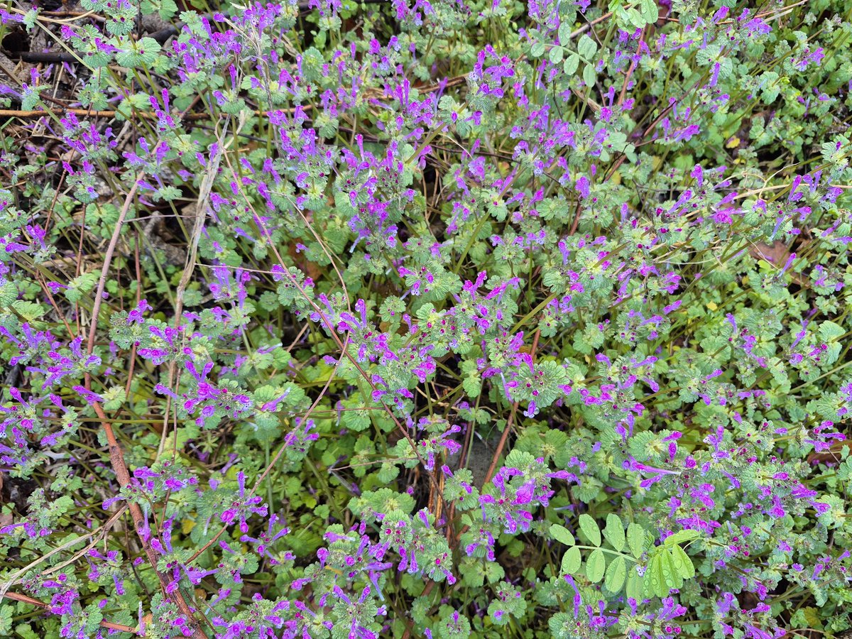 전하억ㆍ詩人 tweet media