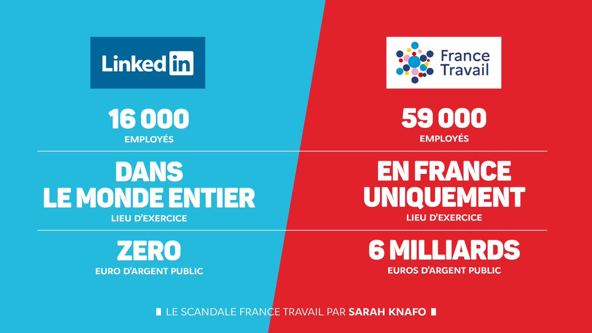 Sarah Knafo tweet media