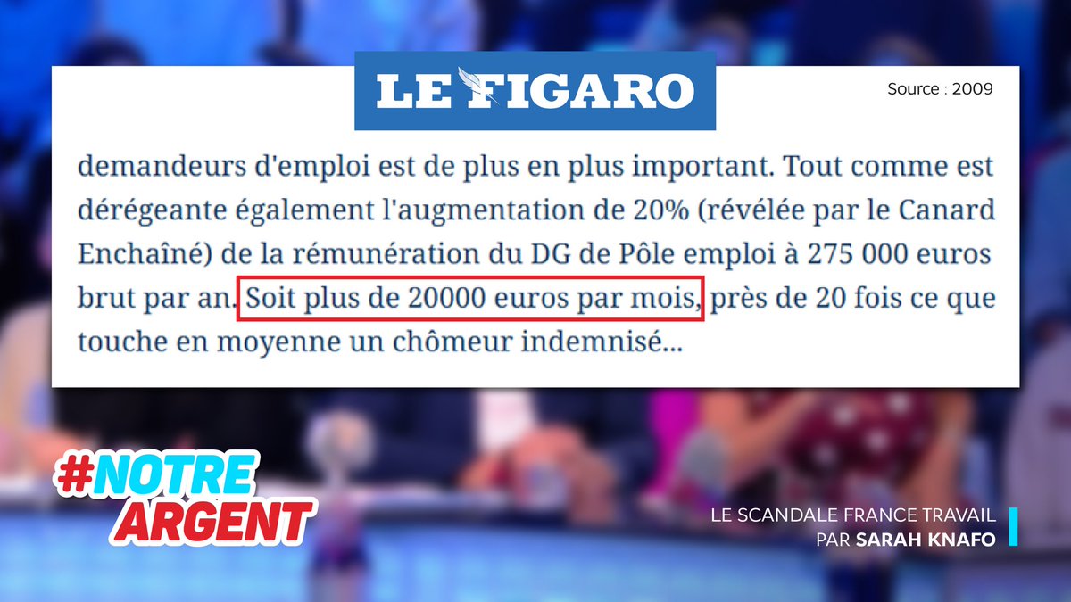 Sarah Knafo tweet media