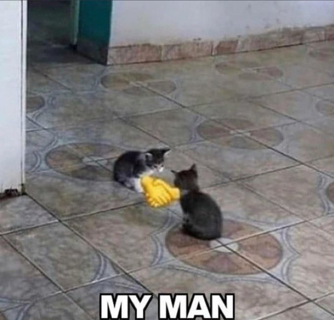 Daron100 tweet media