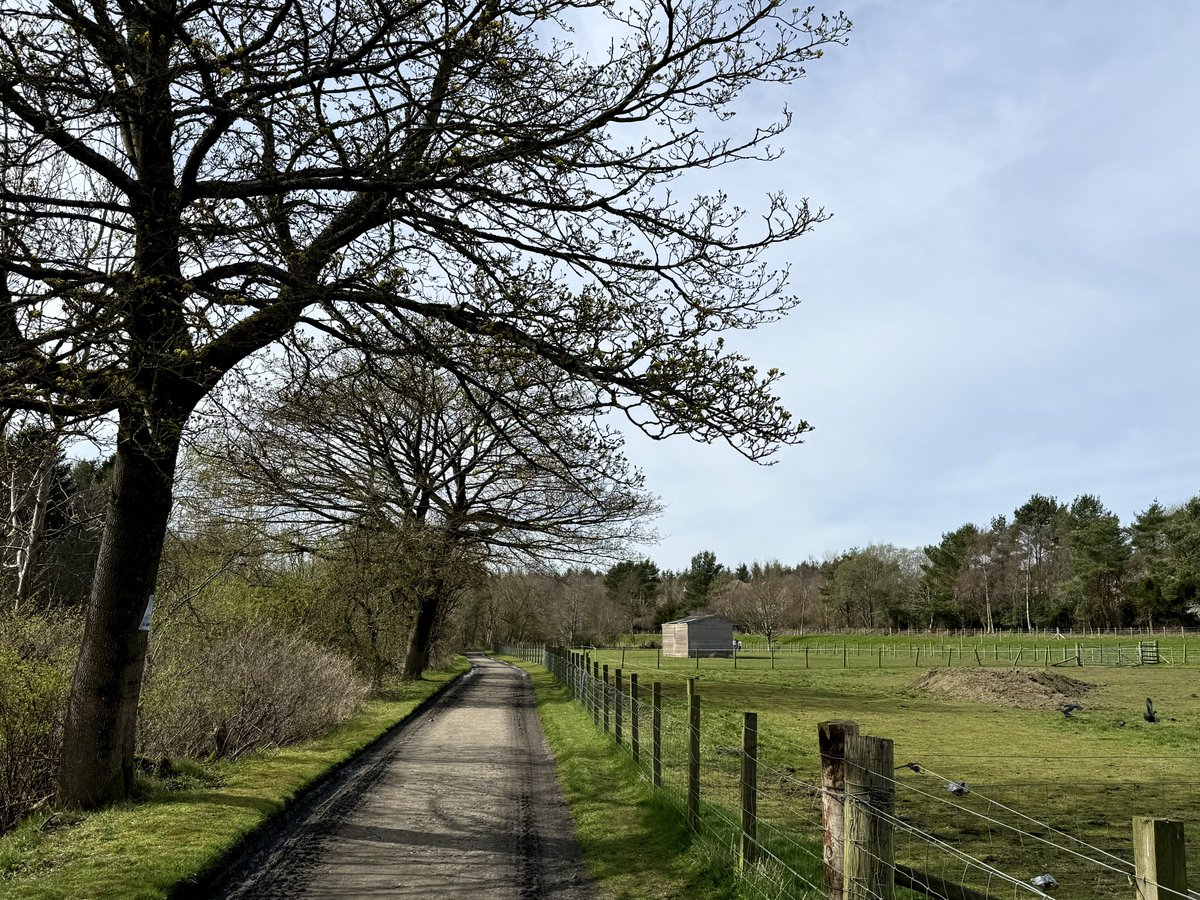 ElleBeePhotos's tweet image. Wishing everyone a pleasant weekend with more scenes from Tuesday’s nature walk. 

If you have a favourite, I’d love to know which and why! 💙💚🤔

#landscapephotography #PhotographyIsArt