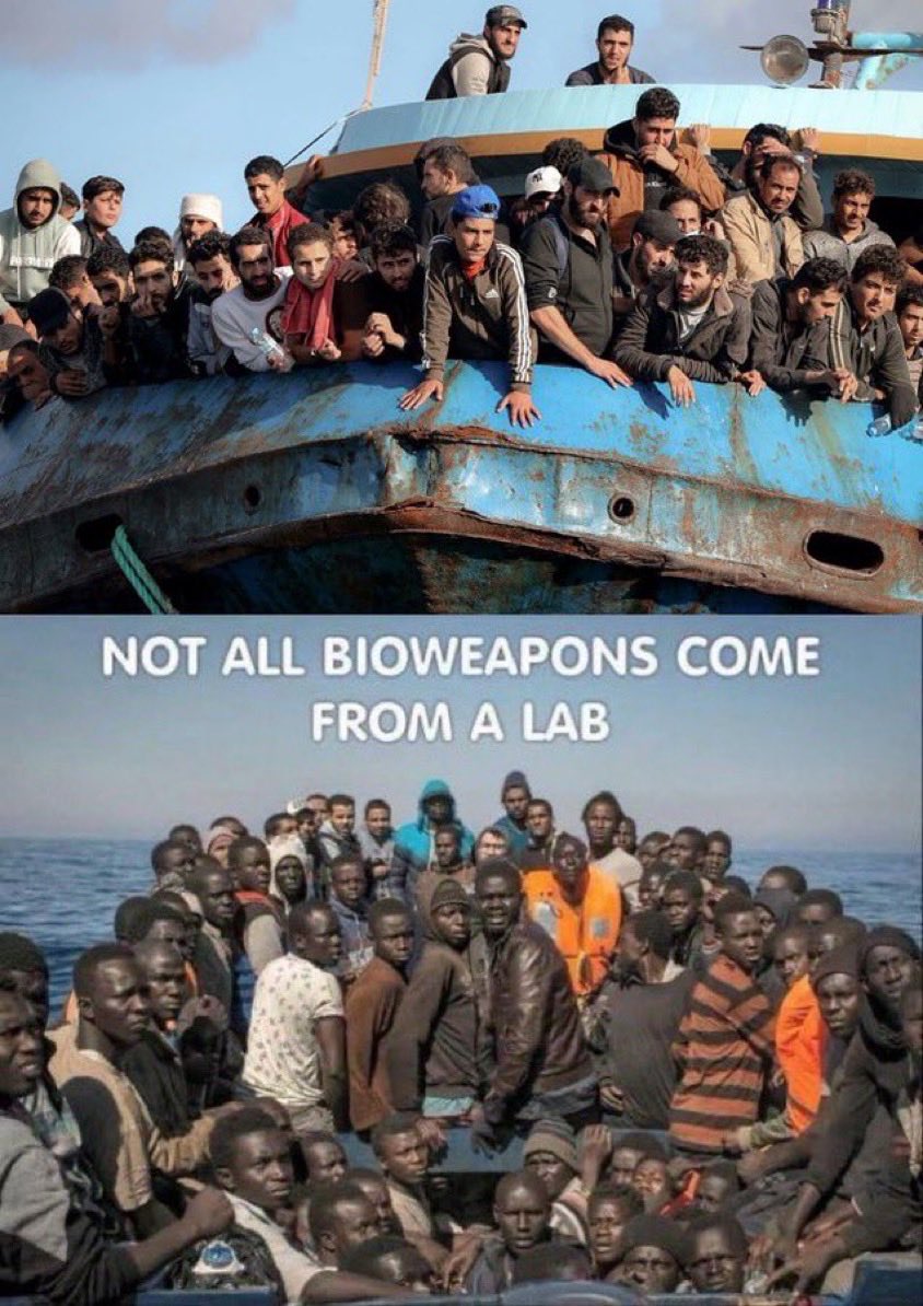 Нећудабудем Ivana 🦉 tweet media