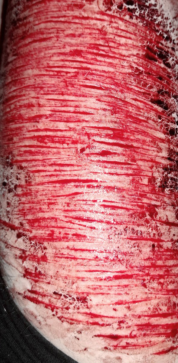 🐾 Niko tweet media