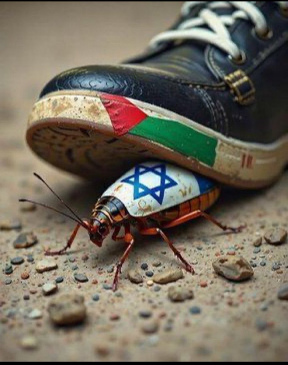 Jr Rodrigues tweet media