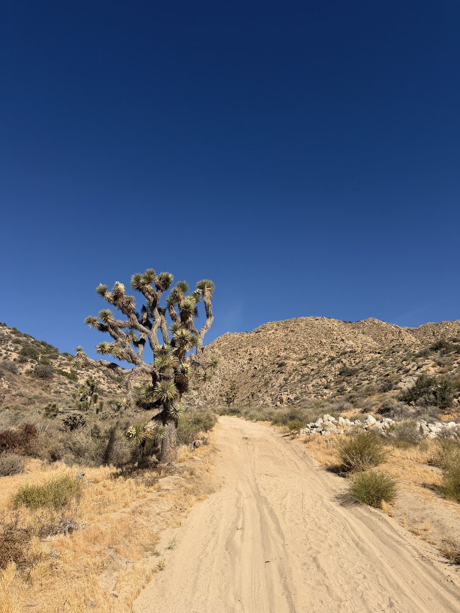 Vincent Timmer tweet media