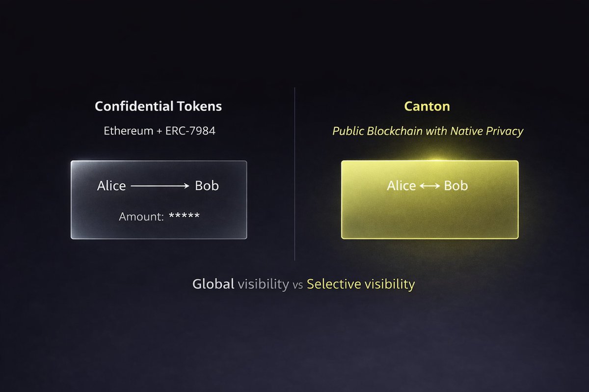 Tokenoya 🇦🇪🇫🇷 tweet media