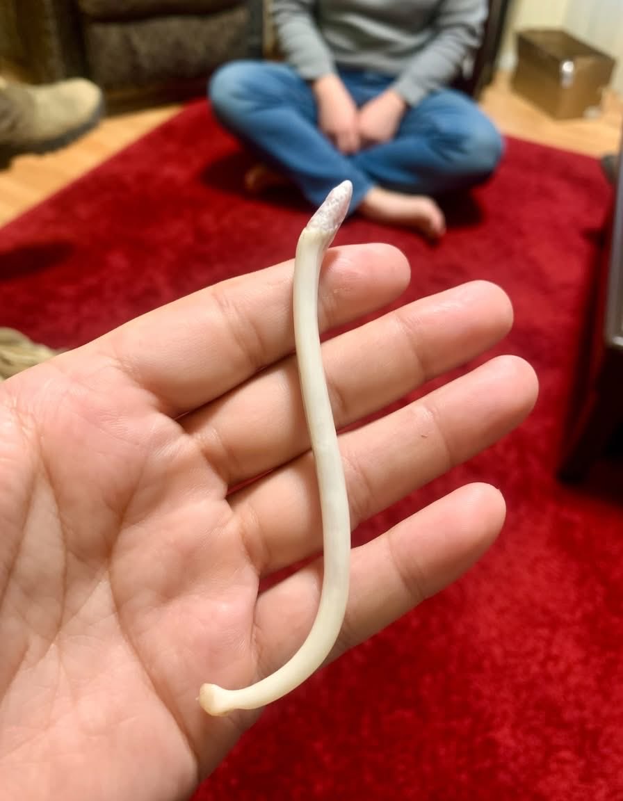 MR SPICI tweet media