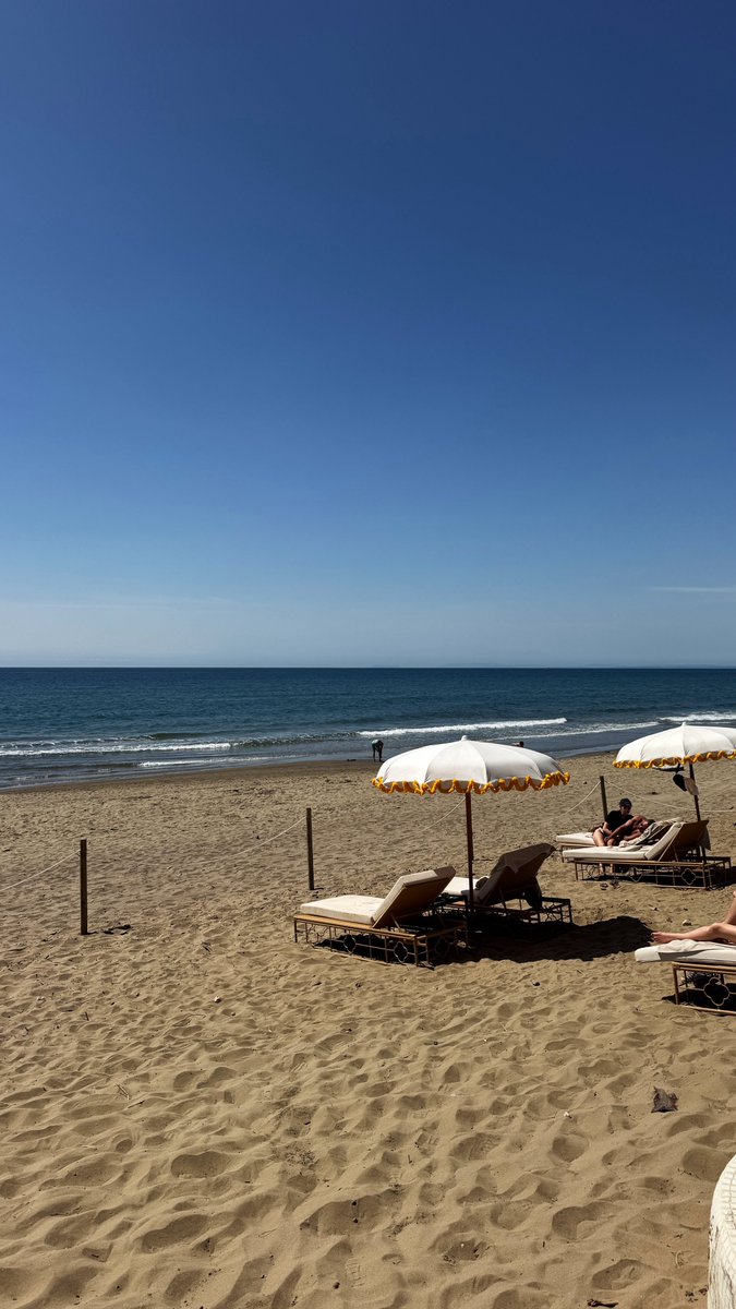 Rob Lipsett tweet media