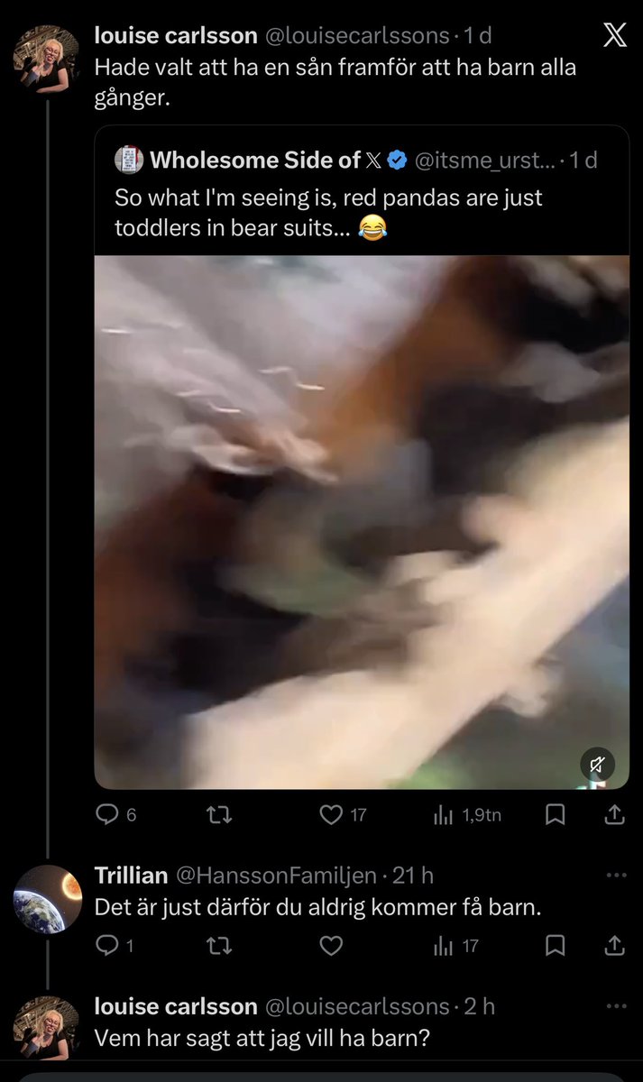 louise carlsson tweet media